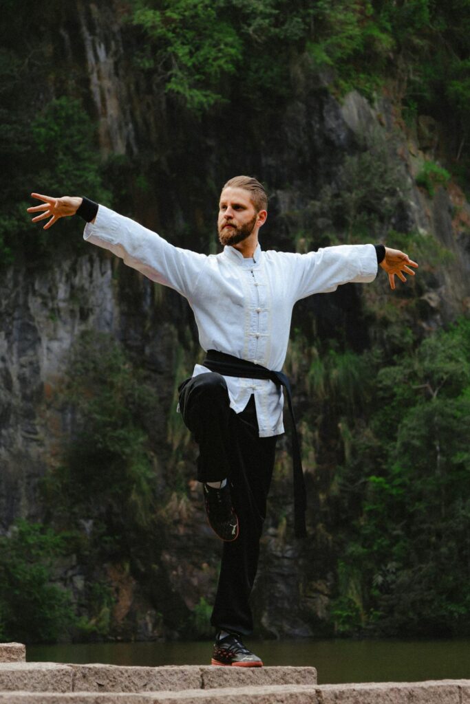 Tai Chi Chuan online